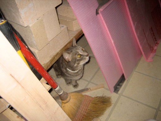 Tha Supah is Awestruck